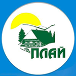play Logo